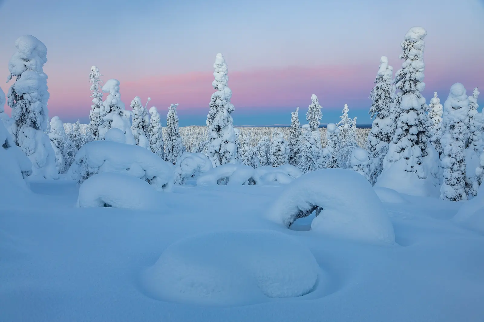 Riisitunturi National Park