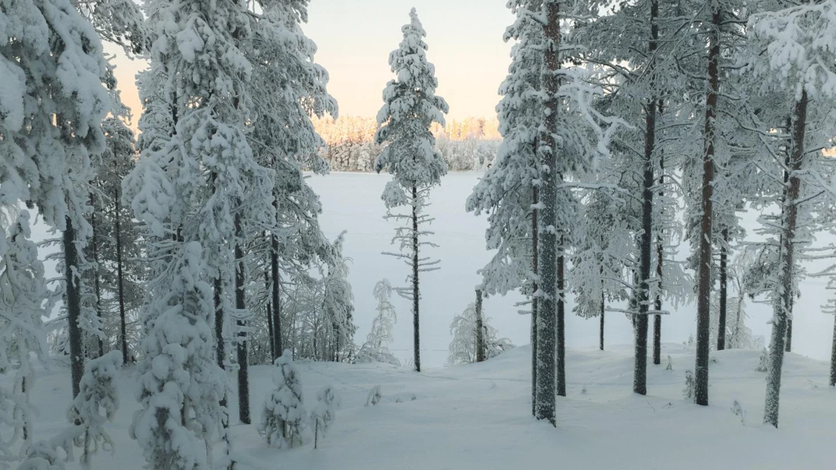 Lapland Lakeside Escape